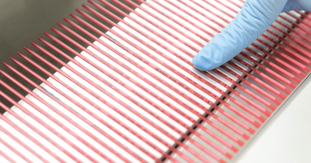 50 Million Units Milestone Highlights the Global Expansion of Sexed Genetics with Sexcel®
